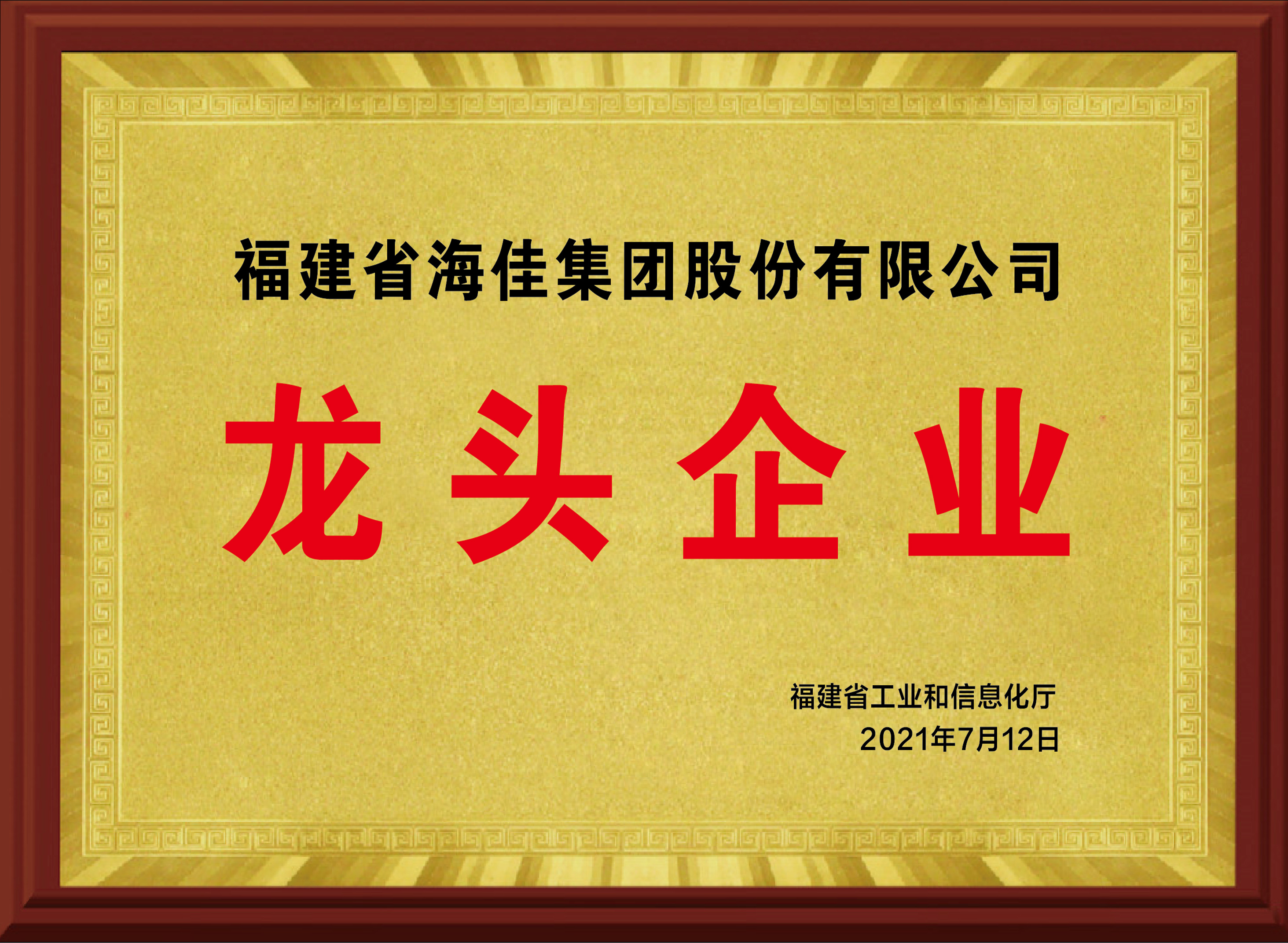龍頭企業(yè)